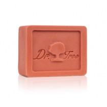 DR TREE CHAMPÃ SÃLIDO...