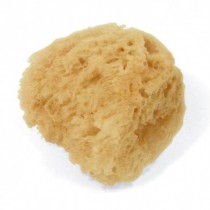 APOSAN ESPONJA NATURAL...